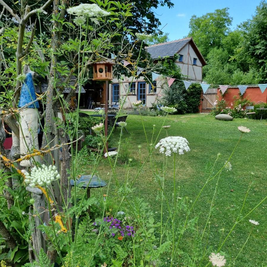 Ankommen, Wohlfuehlen Und Die Natur Geniessen Lichtenhain  ภายนอก รูปภาพ